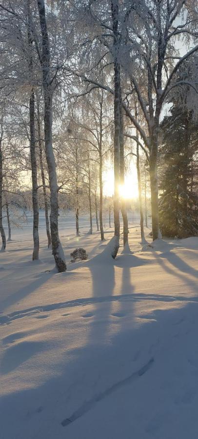 Hotelli Sodankylae Exteriér fotografie
