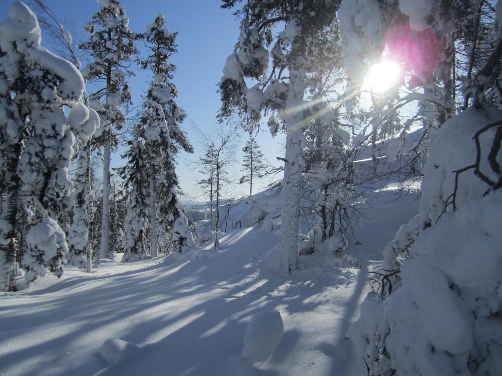 Hotelli Sodankylae Exteriér fotografie